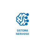 sistema-nervioso sistema-nervioso
